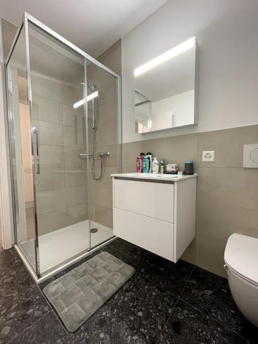 Five Stars Comfort Apartment Lugano Near The Lake Ngoại thất bức ảnh