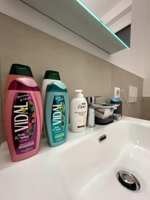 Five Stars Comfort Apartment Lugano Near The Lake Ngoại thất bức ảnh