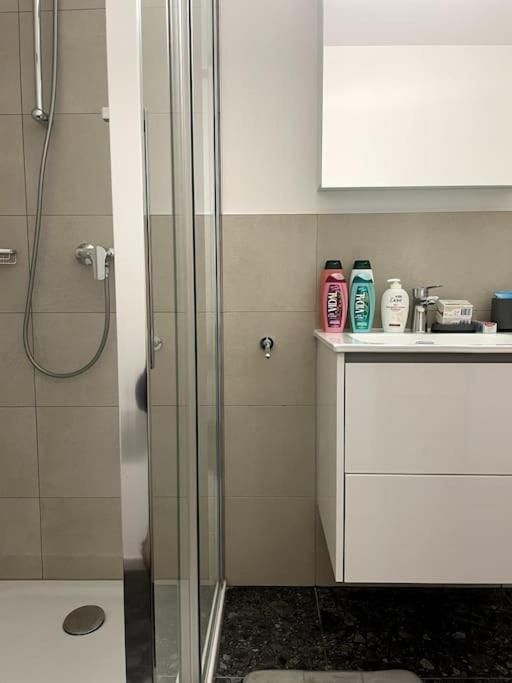 Five Stars Comfort Apartment Lugano Near The Lake Ngoại thất bức ảnh