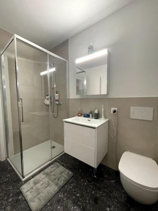 Five Stars Comfort Apartment Lugano Near The Lake Ngoại thất bức ảnh